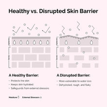 Load image into Gallery viewer, Soothing &amp; Barrier Support Serum